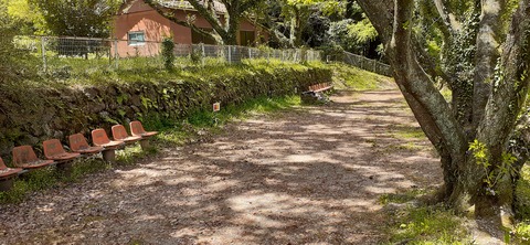 150-1345(49-49)吉井百年公園9_113945