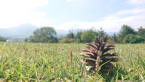 121-106(20-20)九重山麓風の丘605