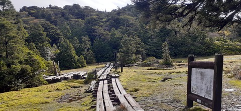 260-241(49-46)宮之浦岳淀川小屋501_170850