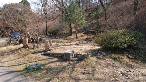 88-74(43-38)昭和の森一本松サイト861