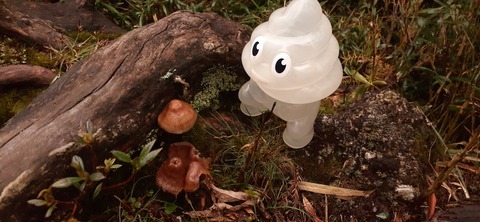 260-241(49-46)宮之浦岳淀川小屋501_090723