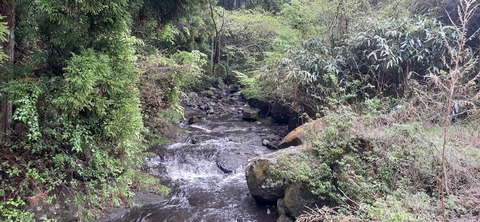 152-137(51-51)阿蘇夢蛍キャンプ場429_131143