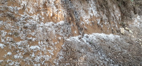 251-232(40-37)伽藍岳ゲリラキャン303_075027