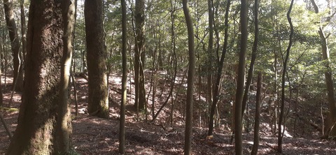 245-227(34-32)奥霧島御池107_124737