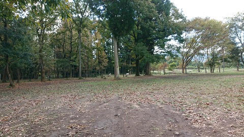 125-110(24-24)キャンプ&農園玖珠の杜208