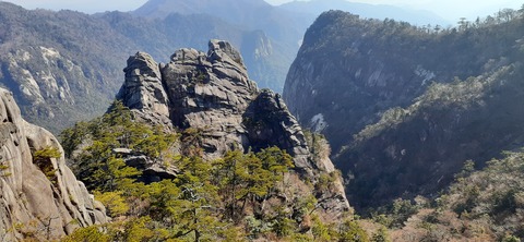 236-219(25-24)大崩山1104_104038