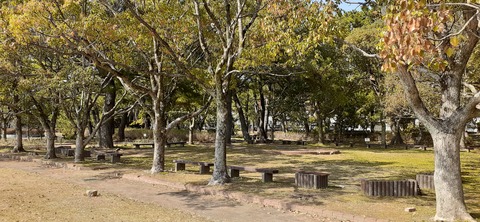 200-184(42-41)糸根地区公園キャンプ場319_142111