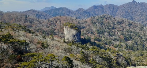 236-219(25-24)大崩山1104_104056