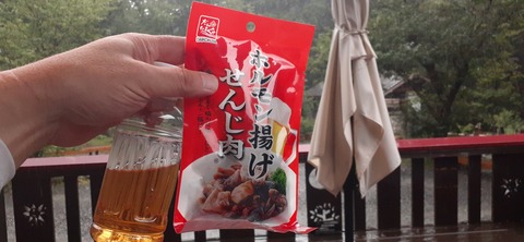 271-251(8-7) 上高地穂高岳813_164802