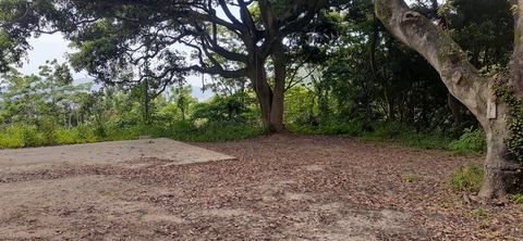 213-197(2-2)レムブランベースC527_133005