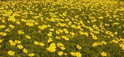 237-220(26-25)るるパーク1111_132318