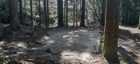 199-183(41-40)山中キャンプ場311_112722