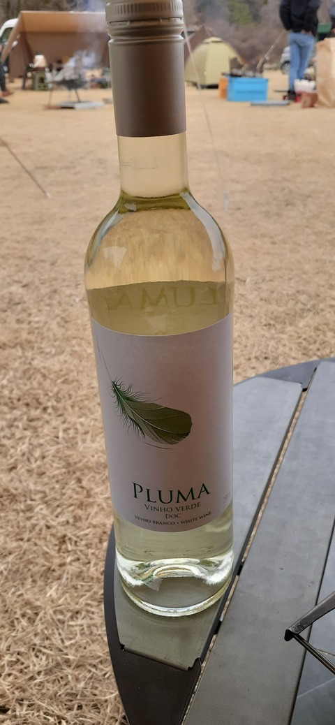 194-178(36-35)ゴンドーシャロレー⑨211_152408