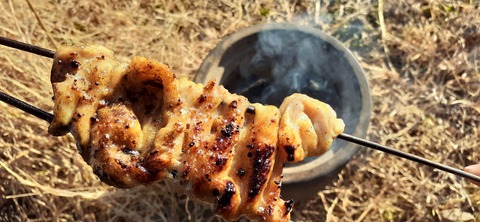 251-232(40-37)伽藍岳ゲリラキャン302_163929