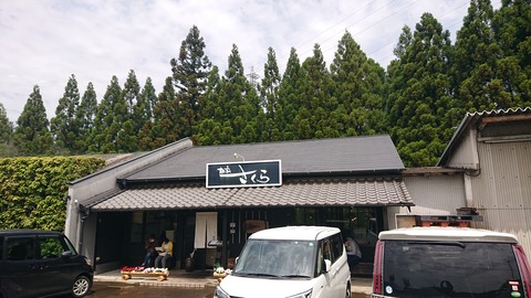 96-81(51-45)伐株山憩いの森549