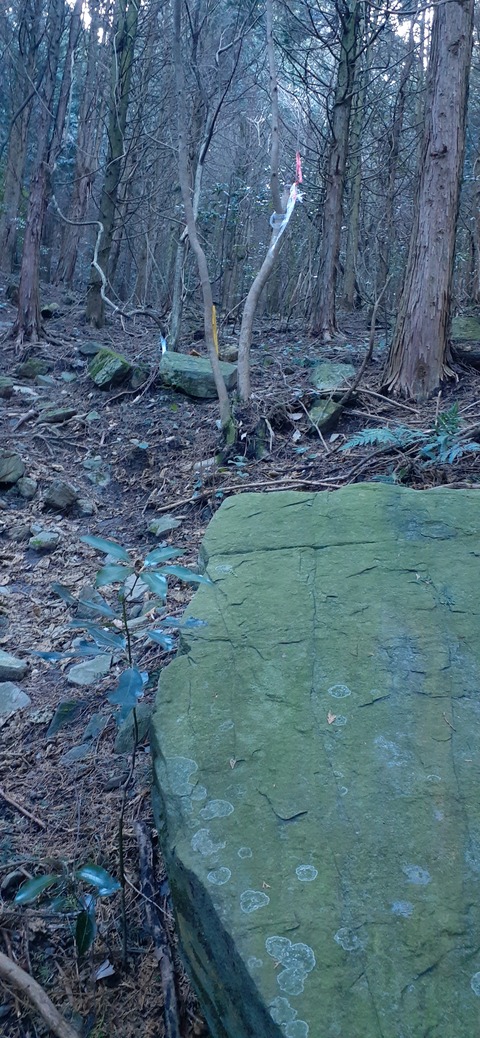 251-232(40-37)大坂山障子ヶ岳218_090525