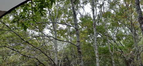 233-216(22-21)9.BASE1014_165010