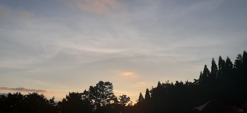 223-206(12-11)四季見原すこやかの森②815_184727