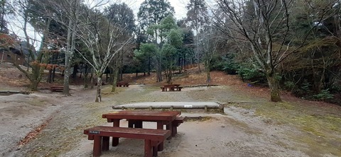 143-128(42-42)大野城いこいの森19_131549