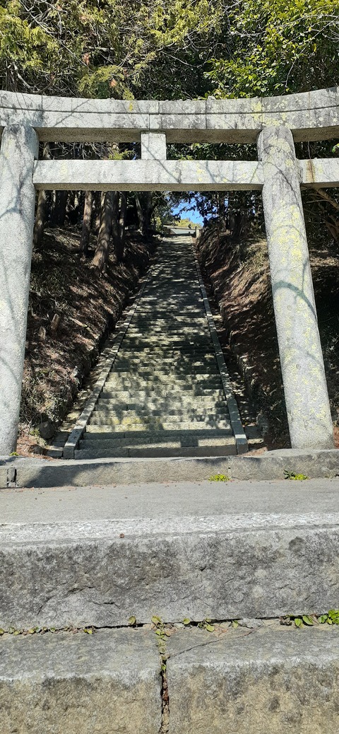 251-232(40-37)大坂山障子ヶ岳218_133303