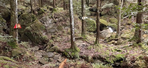 202-186(44-43)八木山渓流公園325_105135