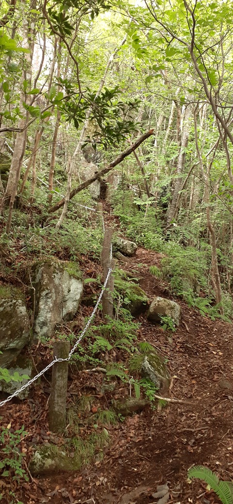 227-210(16-15)スノーピーク奥日田902_094212