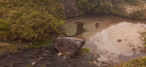 260-241(49-46)宮之浦岳淀川小屋501_144448