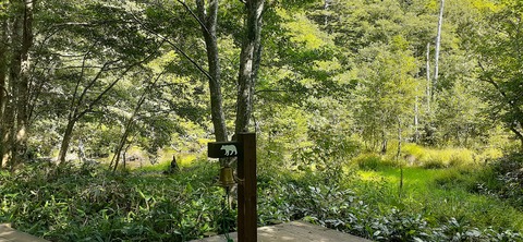 273-253(10-9) 上高地穂高岳817_090537