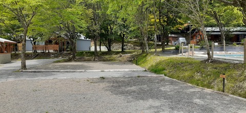 216-200(5-5)山鳥の森623_131324