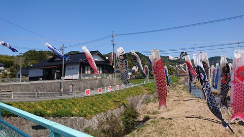 95-80(50-44)小鳥の森キャンプ場448