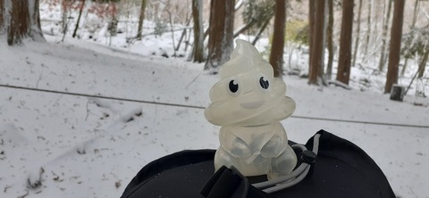 238-221(27-26)法華院温泉山荘1118_110403