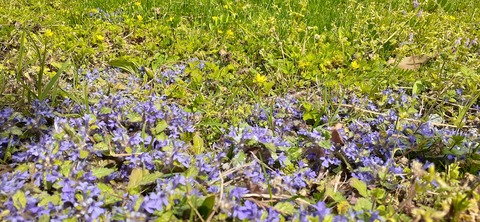 149-134(48-48)橘香園2_122516