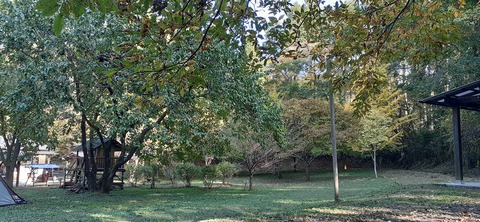 182-166(24-23)長湯きらりキャンプ場1105_143823