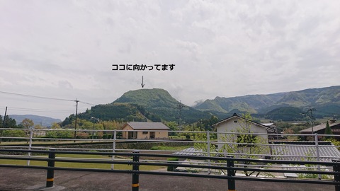 96-81(51-45)伐株山憩いの森554R