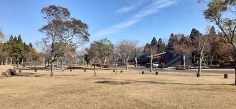 240-223(29-28)ひなもりキャンプ場1124_141015