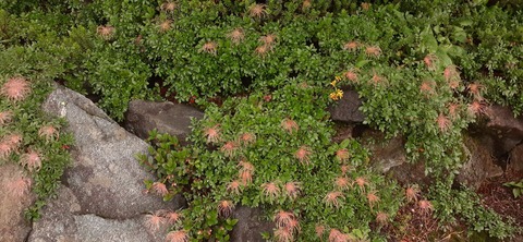 273-253(10-9) 上高地穂高岳815_065000