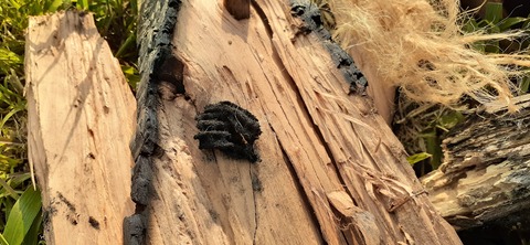 159-144(1-1)遊牧民521_174458