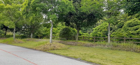 212-196(1-1)竜王山公園AC520_101114