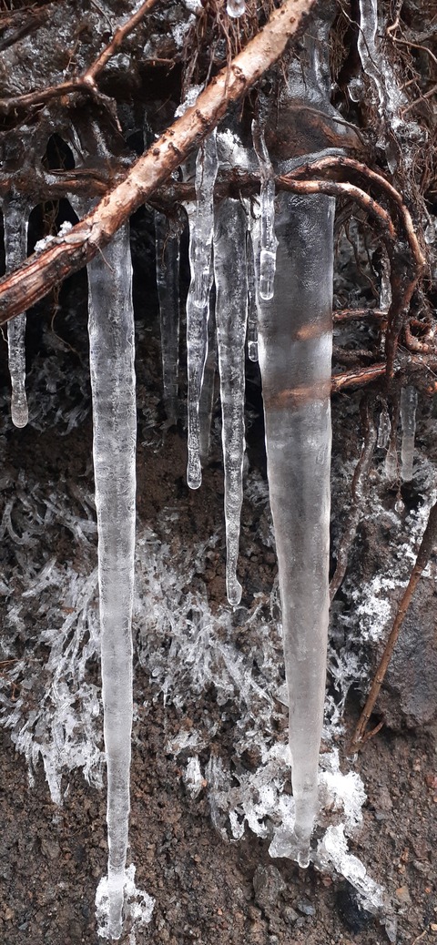 251-232(40-37)法華院温泉山荘2泊目224_114712