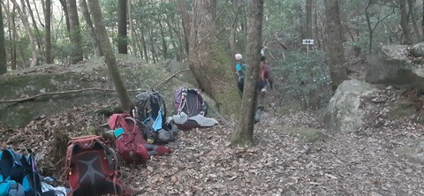 236-219(25-24)大崩山1104_065009