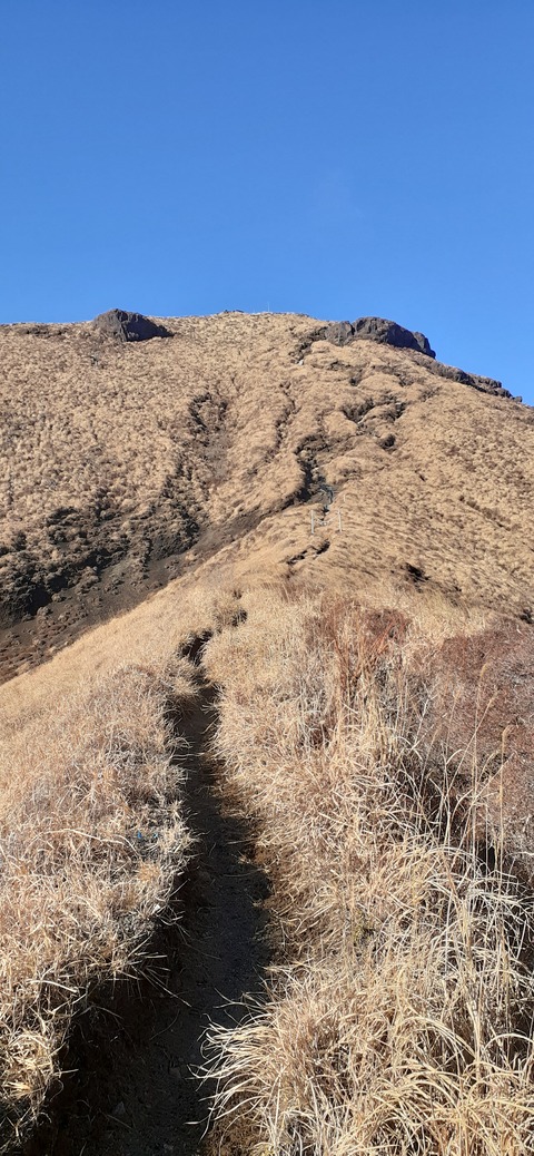 245-227(34-32)奥霧島御池107_100337