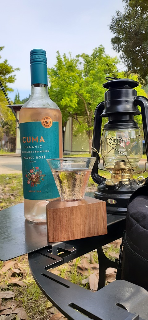 155-140(54-54)うめキャンプ村504_150428