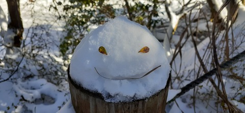 238-221(27-26)法華院温泉山荘1119_102318