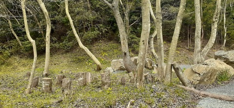 201-185(43-42)カワラテラス320_121807