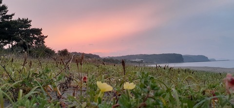 161-146(3-3)来浦キャンプ場611_191658