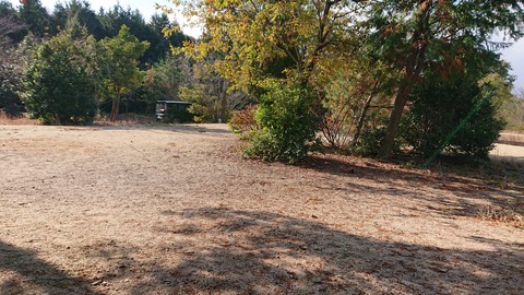 74-61(29-25)千防川砂防公園キャンプ場785