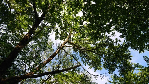 109-94(8-8)背振山キャンプ場918