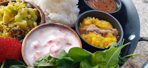 199-183(41-40)山中キャンプ場311_172647