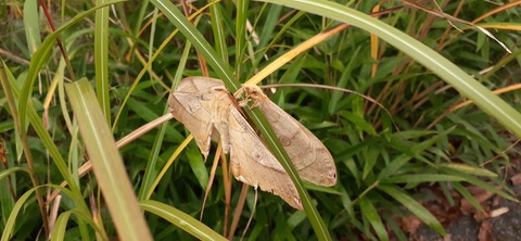 233-216(22-21)9.BASE1014_101213