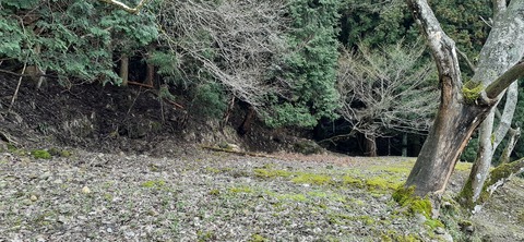 202-186(44-43)八木山渓流公園325_124203